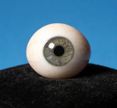 专业义眼定制工作室